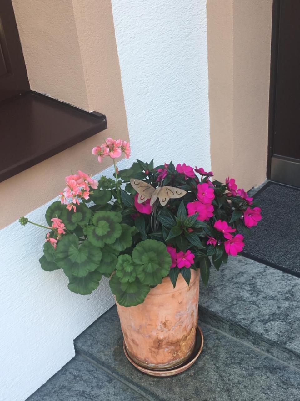 加舒恩Haus Ganeu公寓 外观 照片